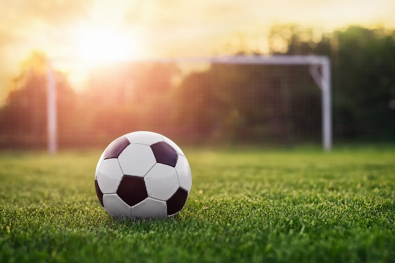 Teamindeling seizoen 2026/2027