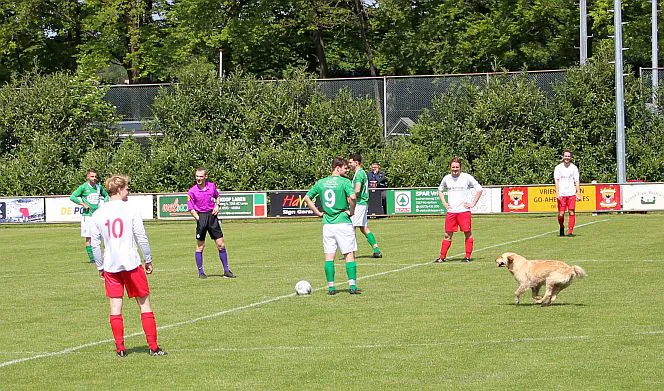 Harfsen boekt een makkelijke overwinning op EGVVV