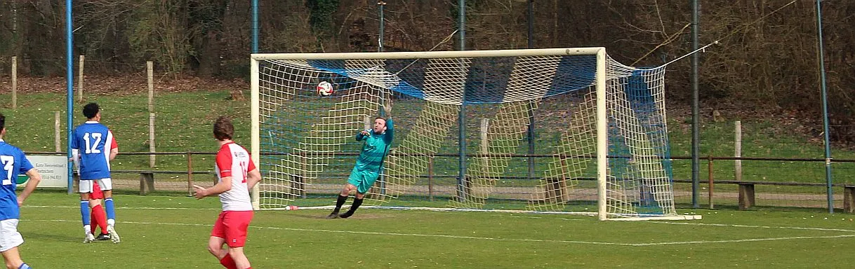 Sportieve revanche Harfsen