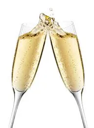 Statiegeld flessenactie en nieuwjaarsreceptie