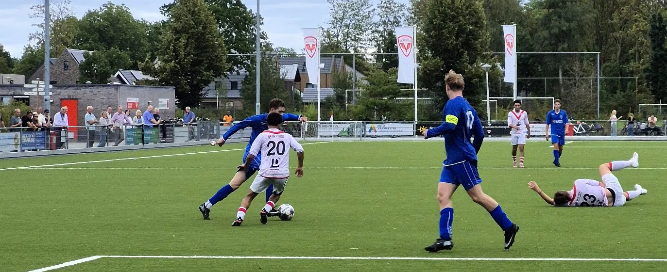 Hoopvol begin Harfsen